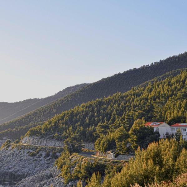 Villa Victor Babino Polje Exterior foto